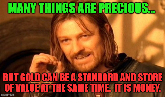One Does Not Simply Meme | MANY THINGS ARE PRECIOUS... BUT GOLD CAN BE A STANDARD AND STORE OF VALUE AT THE SAME TIME.  IT IS MONEY. | image tagged in memes,one does not simply | made w/ Imgflip meme maker