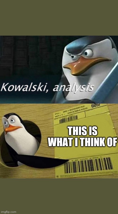 Kowalski Analysis | THIS IS WHAT I THINK OF | image tagged in kowalski analysis | made w/ Imgflip meme maker