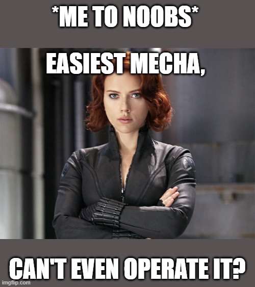 Super Meme Champions 6 | *ME TO NOOBS*; EASIEST MECHA, CAN'T EVEN OPERATE IT? | image tagged in black widow - not impressed,memes | made w/ Imgflip meme maker