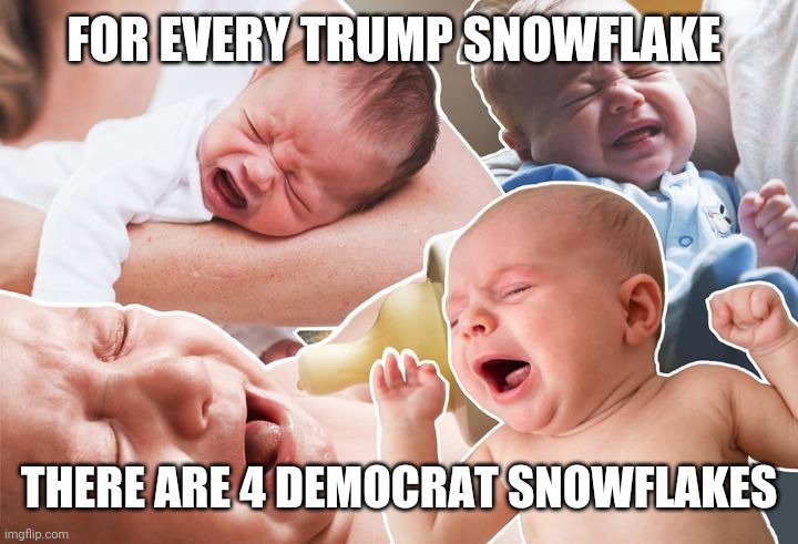 FOR EVERY TRUMP SNOWFLAKE THERE ARE 4 DEMOCRAT SNOWFLAKES | made w/ Imgflip meme maker