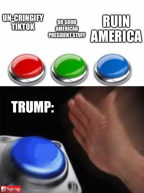 Trump | UN-CRINGIFY TIKTOK; DO GOOD AMERICAN PRESIDENT STUFF; RUIN AMERICA; TRUMP: | image tagged in three buttons | made w/ Imgflip meme maker
