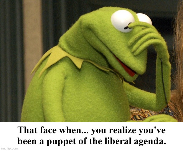 Spent and used... | image tagged in puppet,liberal,agenda,kermit,kermit the frog,sad kermit | made w/ Imgflip meme maker