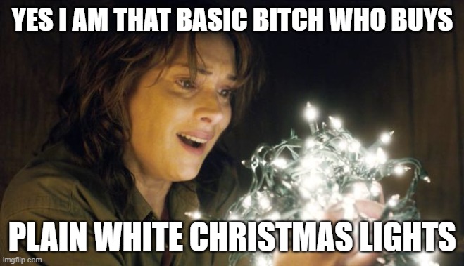 Stranger Things |  YES I AM THAT BASIC BITCH WHO BUYS; PLAIN WHITE CHRISTMAS LIGHTS | image tagged in stranger things | made w/ Imgflip meme maker