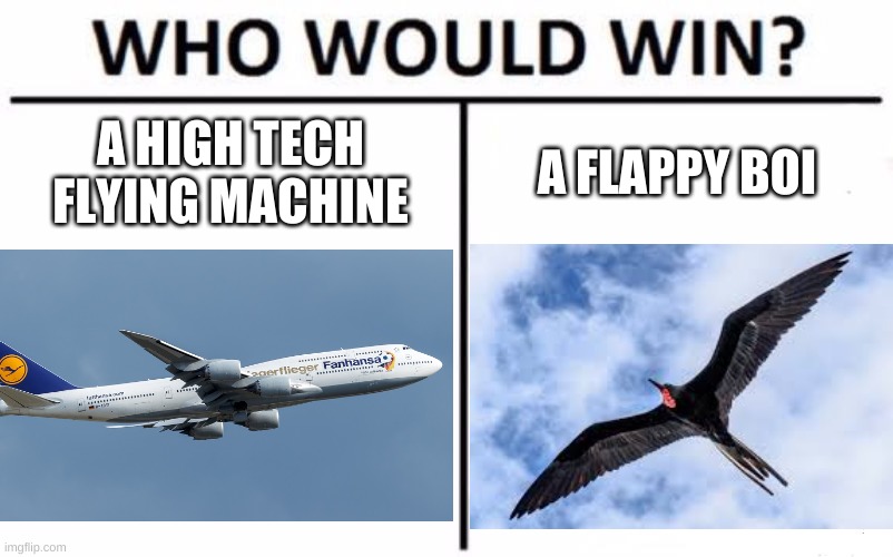 Some flappy boi | A HIGH TECH FLYING MACHINE; A FLAPPY BOI | image tagged in memes,who would win | made w/ Imgflip meme maker