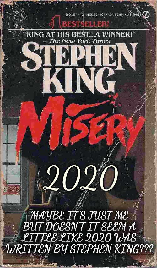 2020; MAYBE IT'S JUST ME BUT DOESN'T IT SEEM A LITTLE LIKE 2020 WAS WRITTEN BY STEPHEN KING??? | image tagged in frak 2020 | made w/ Imgflip meme maker