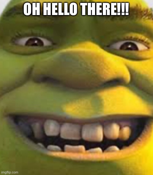 Just shrek | OH HELLO THERE!!! | image tagged in shrek | made w/ Imgflip meme maker