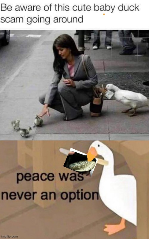 Ducc thief | image tagged in peace was never an option,duck | made w/ Imgflip meme maker