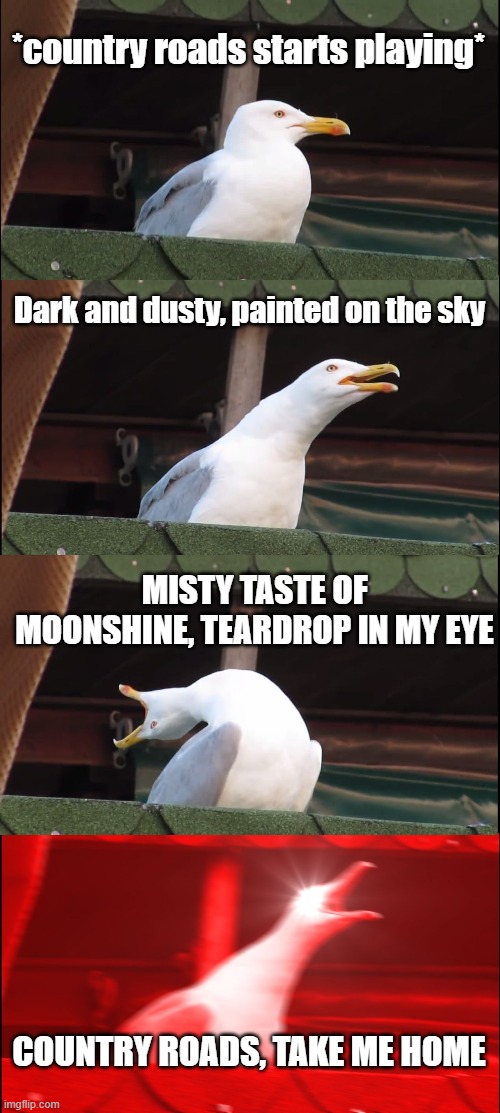 country roads | *country roads starts playing*; Dark and dusty, painted on the sky; MISTY TASTE OF MOONSHINE, TEARDROP IN MY EYE; COUNTRY ROADS, TAKE ME HOME | image tagged in memes,inhaling seagull | made w/ Imgflip meme maker