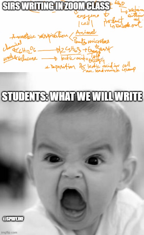 SIRS WRITING IN ZOOM CLASS; STUDENTS: WHAT WE WILL WRITE; @SPIDY.INF | image tagged in memes,angry baby | made w/ Imgflip meme maker