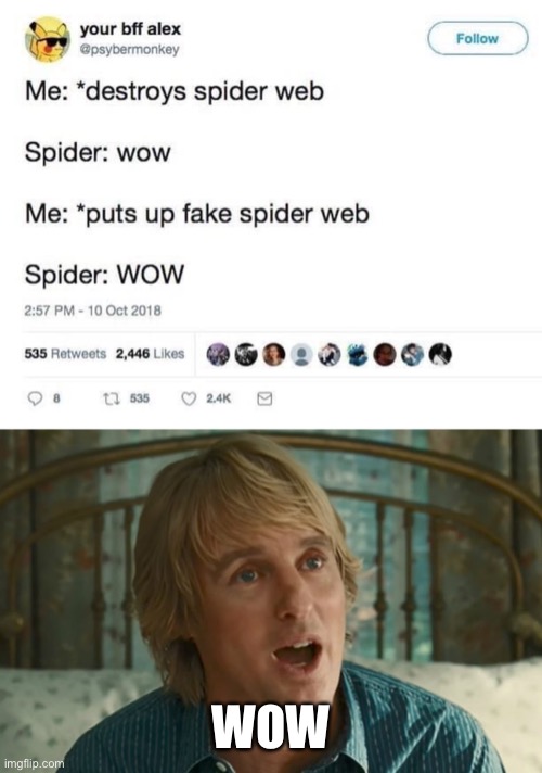 WOW | image tagged in owen wilson wow,spider,halloween,web,wow | made w/ Imgflip meme maker