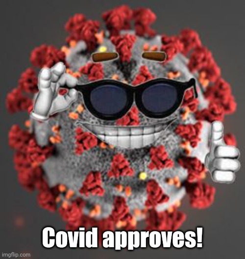 Coronavirus | Covid approves! | image tagged in coronavirus | made w/ Imgflip meme maker