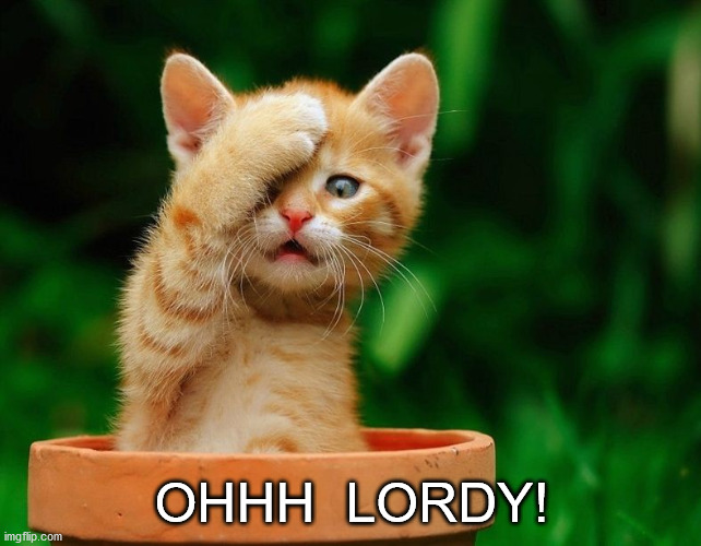 OHHH  LORDY! | made w/ Imgflip meme maker