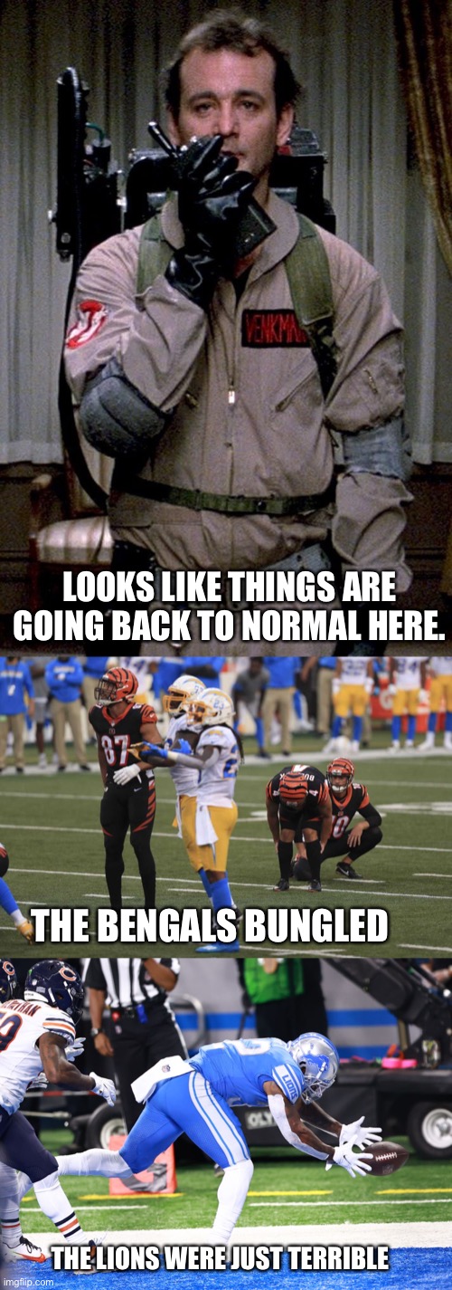 2020 heading back to normal ? | LOOKS LIKE THINGS ARE GOING BACK TO NORMAL HERE. THE BENGALS BUNGLED; THE LIONS WERE JUST TERRIBLE | image tagged in bengals,detroit lions,nfl memes | made w/ Imgflip meme maker