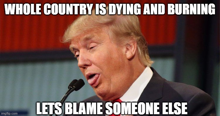 Trump stupid face mocking reporter | WHOLE COUNTRY IS DYING AND BURNING LETS BLAME SOMEONE ELSE | image tagged in trump stupid face mocking reporter | made w/ Imgflip meme maker