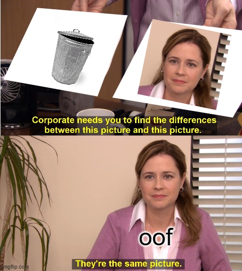 They're The Same Picture | oof | image tagged in memes,they're the same picture | made w/ Imgflip meme maker