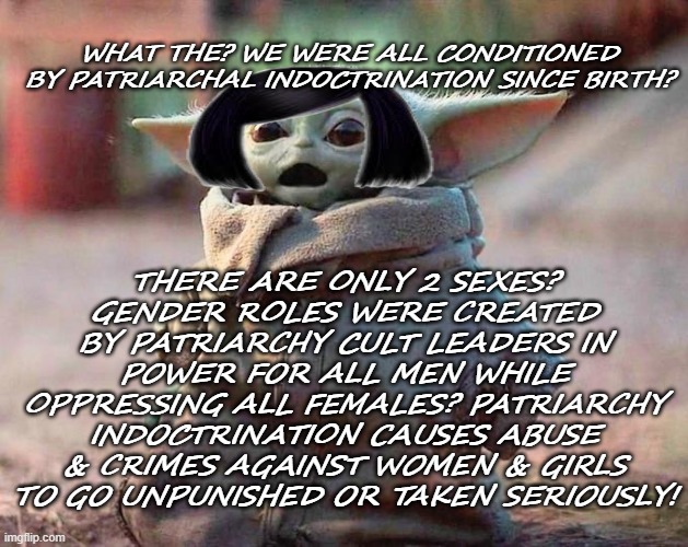 Patriarchal Conditioning | WHAT THE? WE WERE ALL CONDITIONED BY PATRIARCHAL INDOCTRINATION SINCE BIRTH? THERE ARE ONLY 2 SEXES? GENDER ROLES WERE CREATED BY PATRIARCHY CULT LEADERS IN POWER FOR ALL MEN WHILE OPPRESSING ALL FEMALES? PATRIARCHY INDOCTRINATION CAUSES ABUSE & CRIMES AGAINST WOMEN & GIRLS TO GO UNPUNISHED OR TAKEN SERIOUSLY! | image tagged in surprised baby yoda,domestic abuse,the patriarchy,malignant narcissism | made w/ Imgflip meme maker