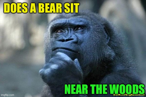 Deep Thoughts | DOES A BEAR SIT NEAR THE WOODS | image tagged in deep thoughts | made w/ Imgflip meme maker