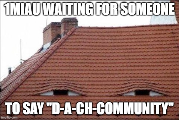 Roof | 1MIAU WAITING FOR SOMEONE; TO SAY "D-A-CH-COMMUNITY" | image tagged in roof | made w/ Imgflip meme maker