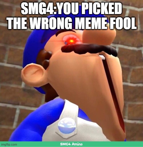 smg4's face | SMG4:YOU PICKED THE WRONG MEME FOOL | image tagged in smg4's face,SMG4 | made w/ Imgflip meme maker