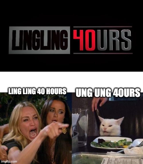 LING LING 40 HOURS; UNG UNG 40URS | image tagged in memes,woman yelling at cat,twoset | made w/ Imgflip meme maker