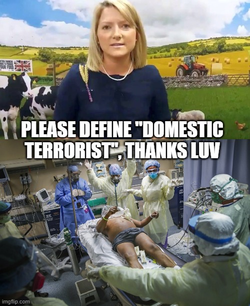 PLEASE DEFINE "DOMESTIC TERRORIST", THANKS LUV | image tagged in kirstene hair mad cow mp | made w/ Imgflip meme maker