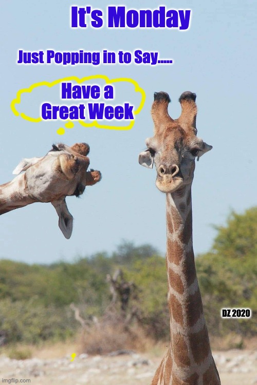 Monday | It's Monday; Just Popping in to Say..... Have a Great Week; DZ 2020 | image tagged in hello,monday,happy,work,good day | made w/ Imgflip meme maker