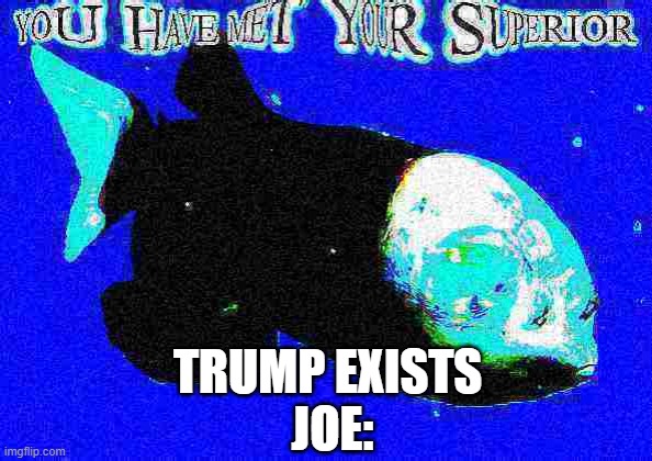 You have met your superior | TRUMP EXISTS 
JOE: | image tagged in you have met your superior,fishing,fish,deep fried | made w/ Imgflip meme maker