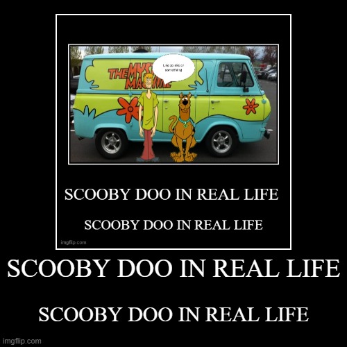 SCOOBY DOO IN REAL LIFE | SCOOBY DOO IN REAL LIFE | image tagged in funny,demotivationals | made w/ Imgflip demotivational maker