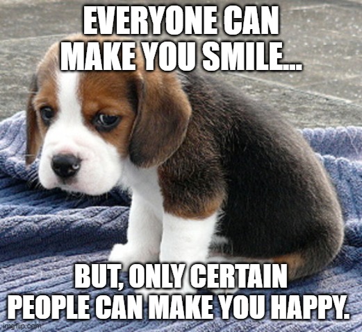 Sad Quote | EVERYONE CAN MAKE YOU SMILE... BUT, ONLY CERTAIN PEOPLE CAN MAKE YOU HAPPY. | image tagged in sad dog | made w/ Imgflip meme maker