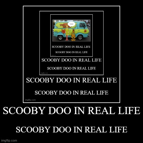 SCOOBY DOO IN REAL LIFE | SCOOBY DOO IN REAL LIFE | image tagged in funny,demotivationals | made w/ Imgflip demotivational maker