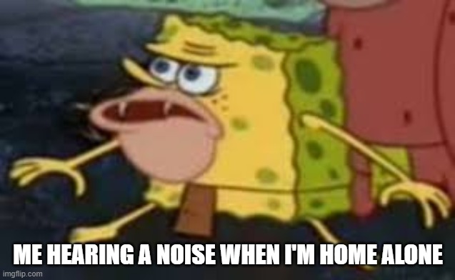 ME HEARING A NOISE WHEN I'M HOME ALONE | image tagged in funny | made w/ Imgflip meme maker
