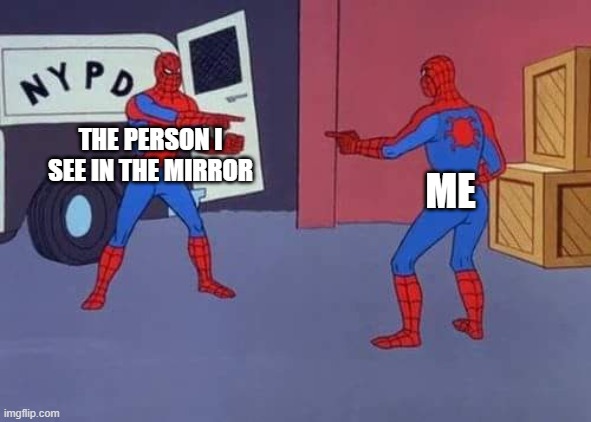 Spiderman mirror | THE PERSON I SEE IN THE MIRROR ME | image tagged in spiderman mirror | made w/ Imgflip meme maker