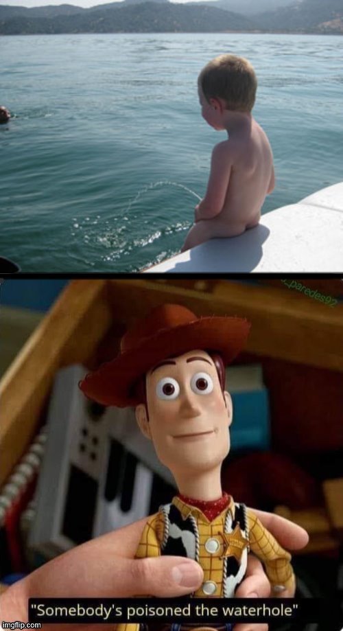 A giveuahint and DashHopes collaboration. | SOMEBODY'S POISONED THE WATER HOLE | image tagged in memes,toy story,pee,waterhole,giveuahint,dashhopes | made w/ Imgflip meme maker