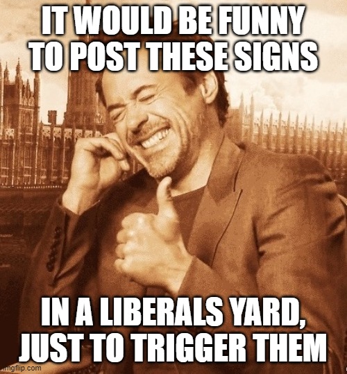 Robert Downey Laugh | IT WOULD BE FUNNY TO POST THESE SIGNS IN A LIBERALS YARD, JUST TO TRIGGER THEM | image tagged in robert downey laugh | made w/ Imgflip meme maker