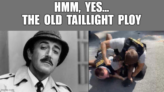 Like moonlight through the pines | HMM,  YES...
THE  OLD  TAILLIGHT  PLOY | image tagged in roderick walker,georgia deputy,traffic stop,taillight,brutality,memes | made w/ Imgflip meme maker