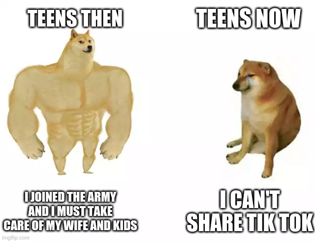 Teens then vs Teens now | TEENS NOW; TEENS THEN; I JOINED THE ARMY AND I MUST TAKE CARE OF MY WIFE AND KIDS; I CAN'T SHARE TIK TOK | image tagged in buff doge vs cheems | made w/ Imgflip meme maker