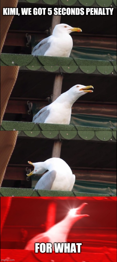 Inhaling Seagull | KIMI, WE GOT 5 SECONDS PENALTY; FOR WHAT | image tagged in memes,inhaling seagull | made w/ Imgflip meme maker