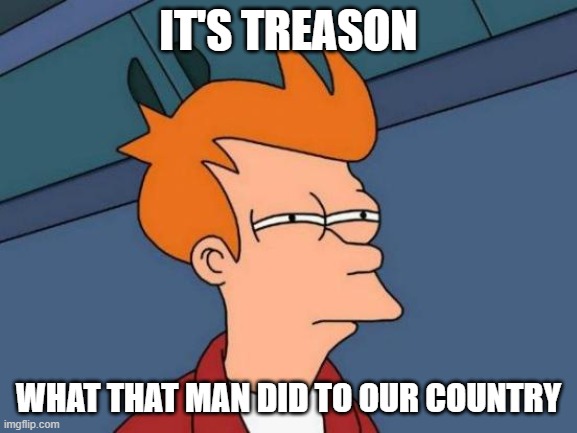 Futurama Fry Meme | IT'S TREASON WHAT THAT MAN DID TO OUR COUNTRY | image tagged in memes,futurama fry | made w/ Imgflip meme maker