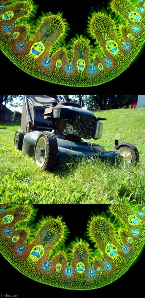 happ grass sa grass | image tagged in grass | made w/ Imgflip meme maker