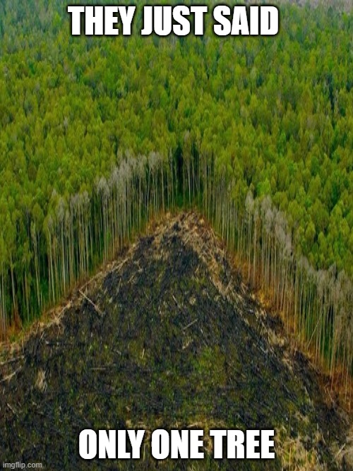 Deforestation | THEY JUST SAID; ONLY ONE TREE | image tagged in memes | made w/ Imgflip meme maker