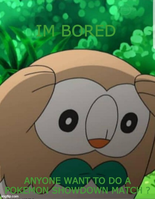 I play pokemon showdown- | IM BORED; ANYONE WANT TO DO A POKEMON SHOWDOWN MATCH ? | image tagged in plotting rowlet | made w/ Imgflip meme maker