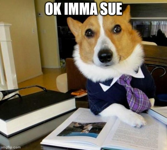 Lawyer Corgi Dog | OK IMMA SUE | image tagged in lawyer corgi dog | made w/ Imgflip meme maker