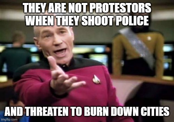 Picard Wtf Meme | THEY ARE NOT PROTESTORS WHEN THEY SHOOT POLICE AND THREATEN TO BURN DOWN CITIES | image tagged in memes,picard wtf | made w/ Imgflip meme maker