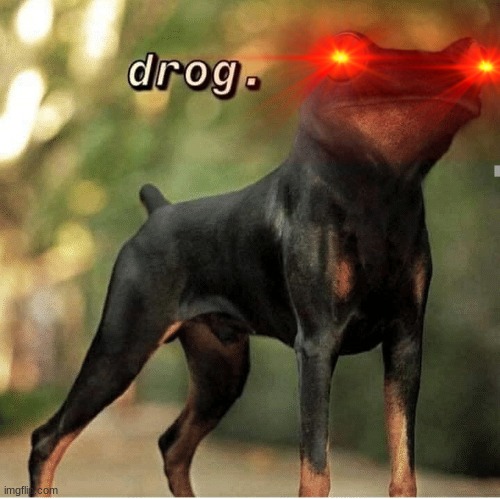 drog | image tagged in cursed image | made w/ Imgflip meme maker