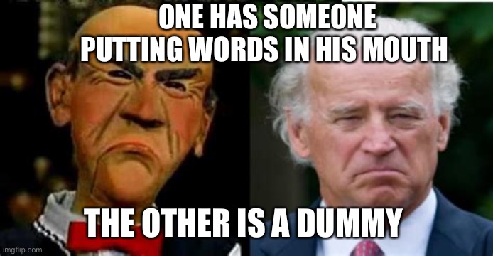 Biden is the spokesperson for whom? | ONE HAS SOMEONE PUTTING WORDS IN HIS MOUTH; THE OTHER IS A DUMMY | image tagged in pair of dummies,biden,puppet,democrat,loser | made w/ Imgflip meme maker