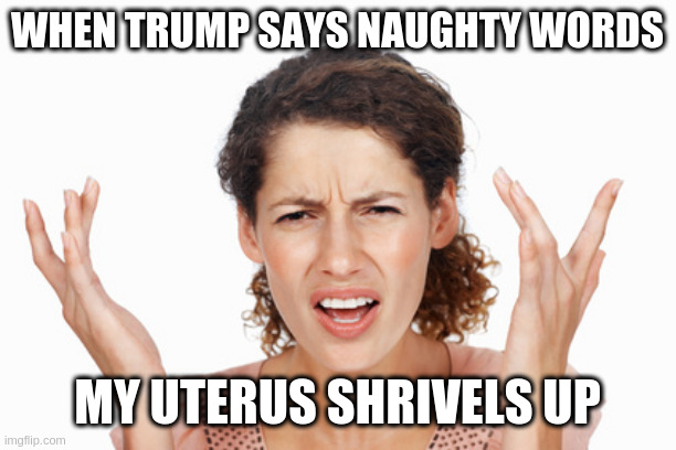 Indignant | WHEN TRUMP SAYS NAUGHTY WORDS; MY UTERUS SHRIVELS UP | image tagged in indignant,uterus | made w/ Imgflip meme maker