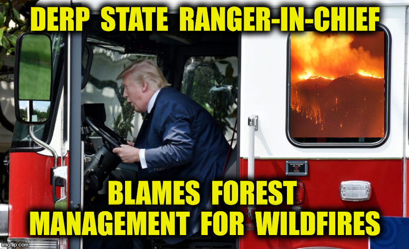 Honk, Honk | DERP  STATE  RANGER-IN-CHIEF; BLAMES  FOREST  MANAGEMENT  FOR  WILDFIRES | image tagged in wildfires,forests,trump pence 2020,climate change,drought,memes | made w/ Imgflip meme maker