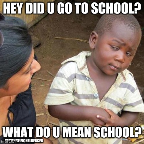 Third World Skeptical Kid | HEY DID U GO TO SCHOOL? WHAT DO U MEAN SCHOOL? PATIENCE EICHELBERGER | image tagged in memes,third world skeptical kid | made w/ Imgflip meme maker