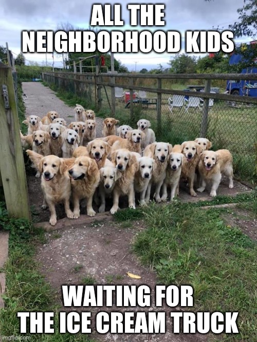 Reminds Me of the Good Old Days | ALL THE NEIGHBORHOOD KIDS; WAITING FOR THE ICE CREAM TRUCK | image tagged in funny memes,funny dogs | made w/ Imgflip meme maker