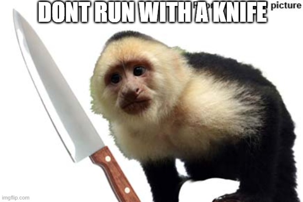 culinary meme for school | DONT RUN WITH A KNIFE | image tagged in monkey ooh | made w/ Imgflip meme maker